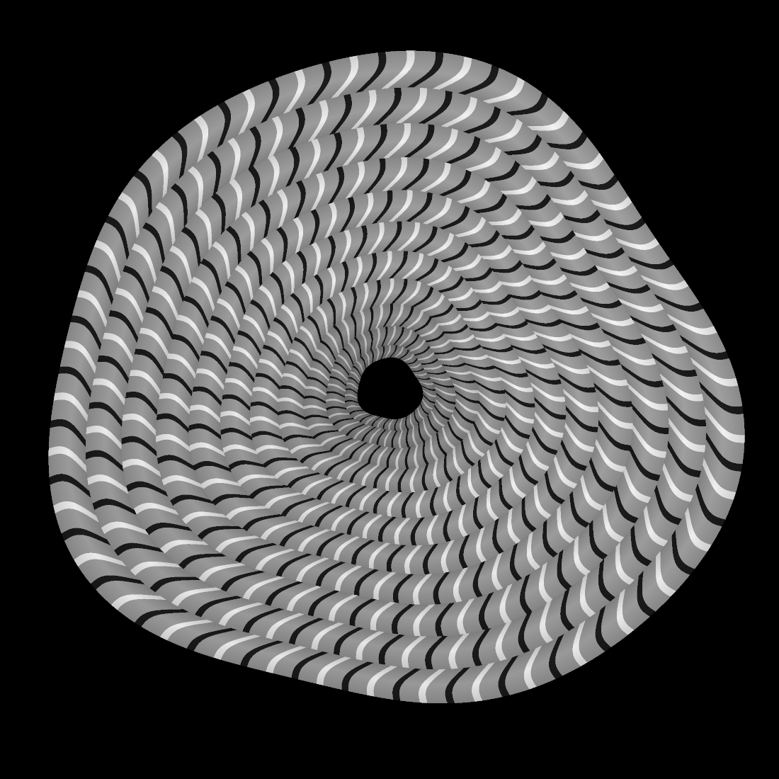 The same vortex with the two mid greys replaced by a single grey, so each unit is symmetric about its black sliver.